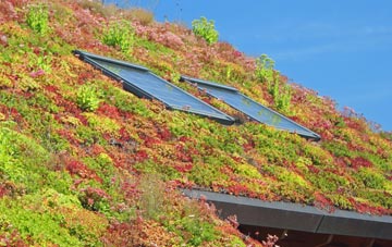 Heanton Punchardon living roof systems