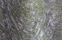 Heanton Punchardon fibreglass roof work